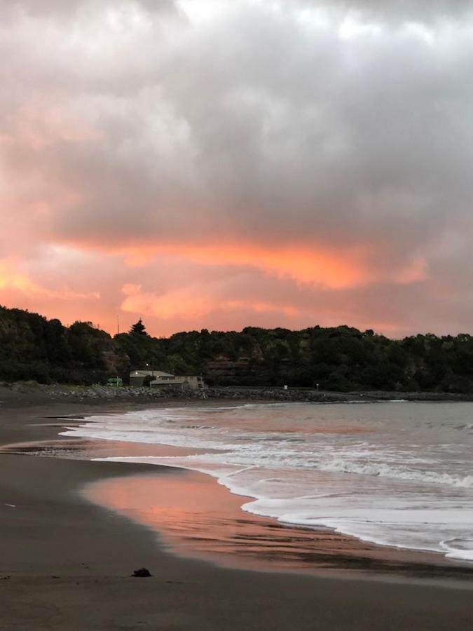 @Taradise-Opunake - Eco-Friendly Coastal Hideaway ภายนอก รูปภาพ